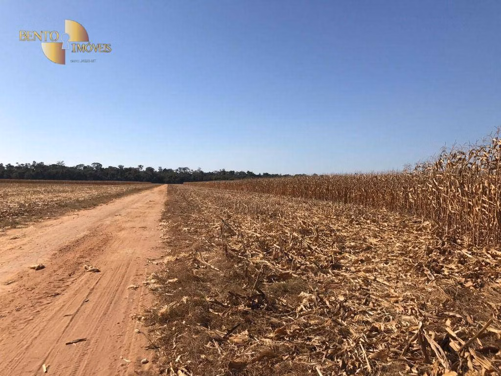 Farm of 19,316 acres in Paranatinga, MT, Brazil