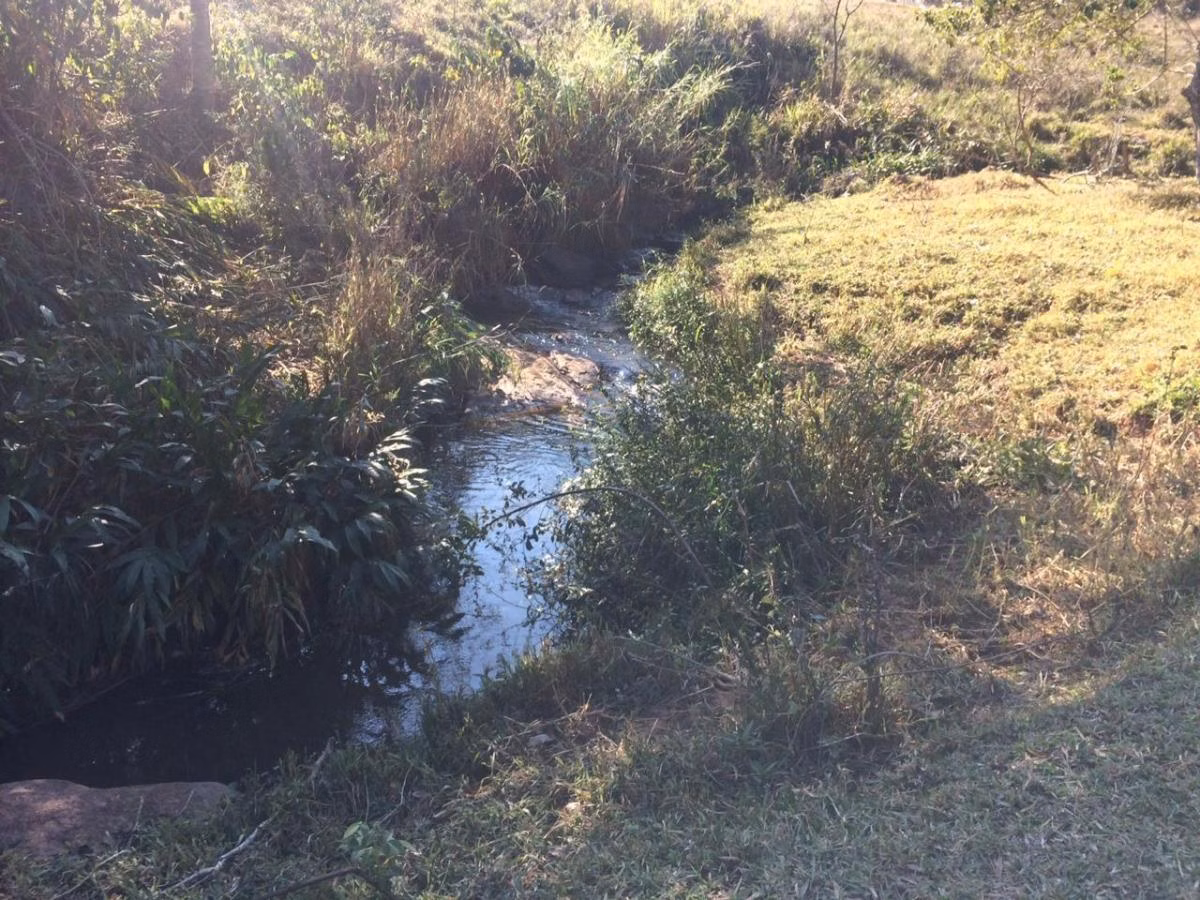 Fazenda à venda de 242 ha em Tapiratiba, SP
