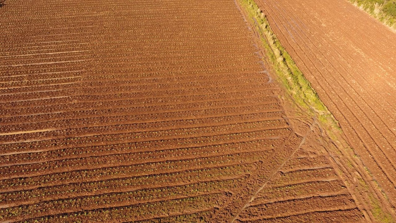 Terreno de 8 ha em Caraá, RS