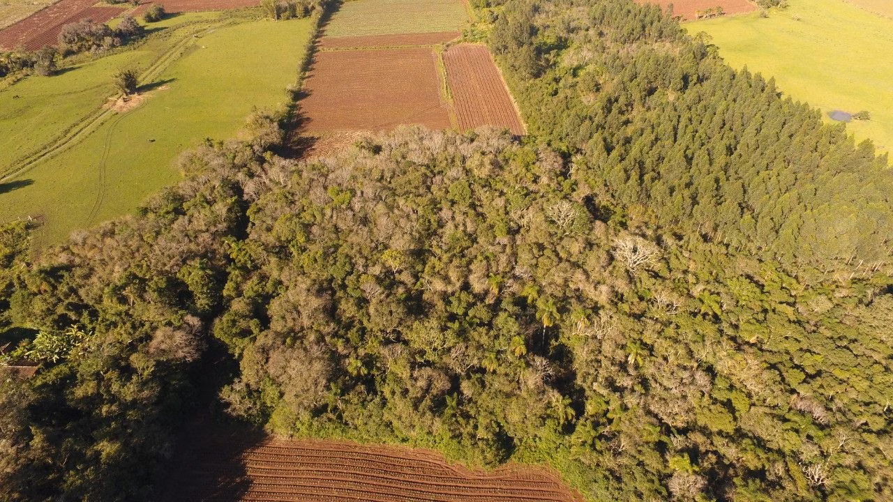 Terreno de 8 ha em Caraá, RS