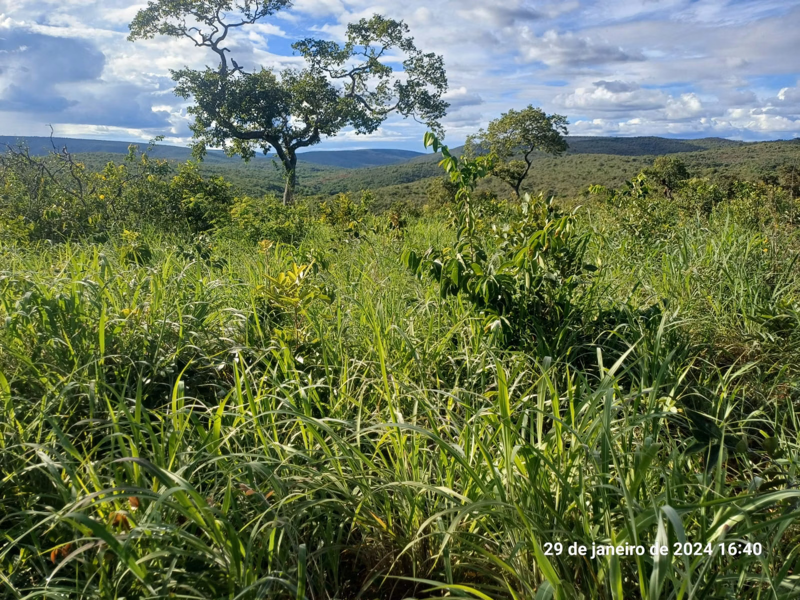 Fazenda de 376 ha em Salinas, MG