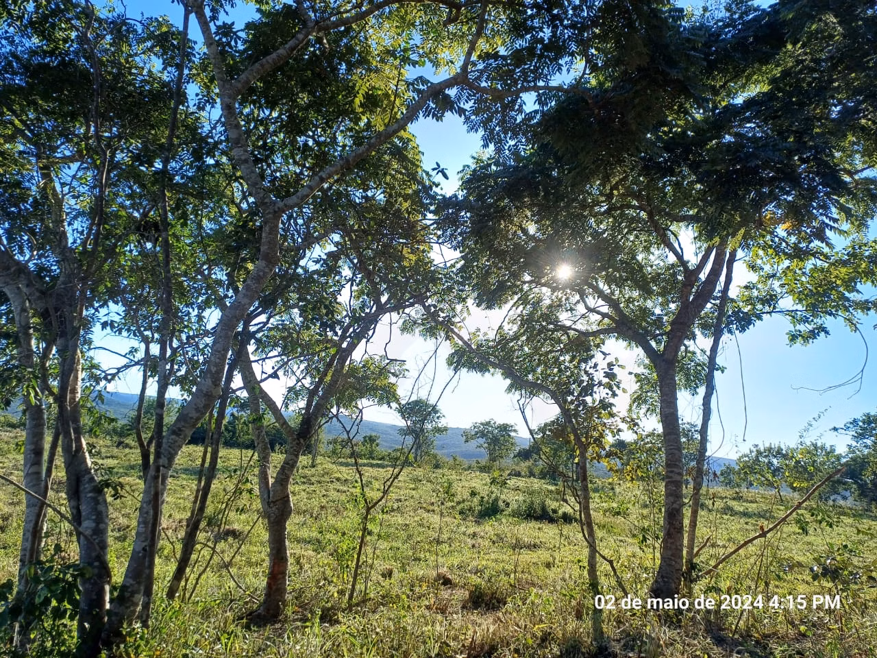 Fazenda de 376 ha em Salinas, MG