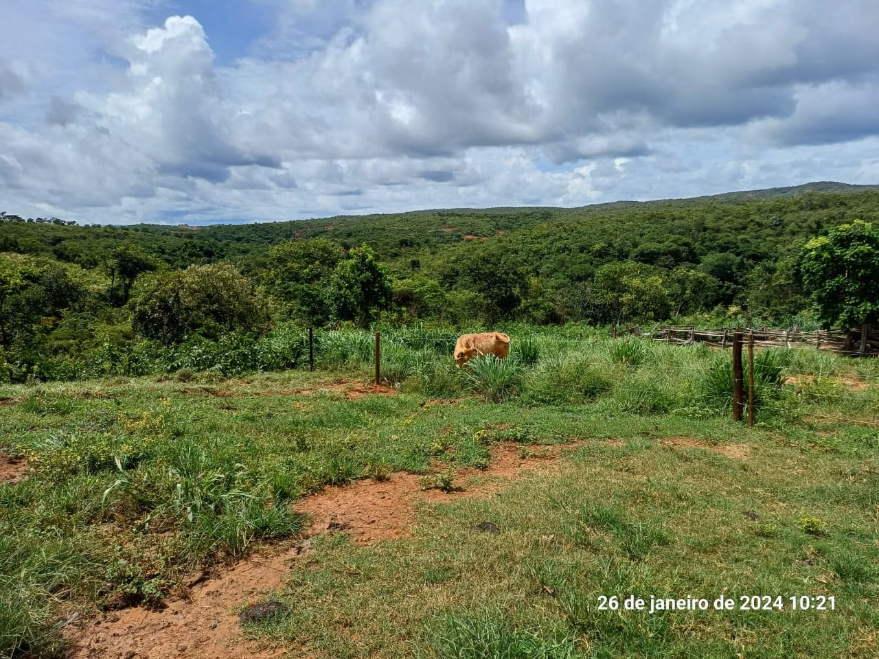 Fazenda de 376 ha em Salinas, MG