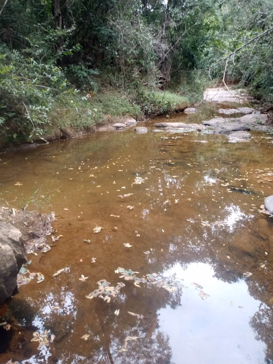 Fazenda de 376 ha em Salinas, MG