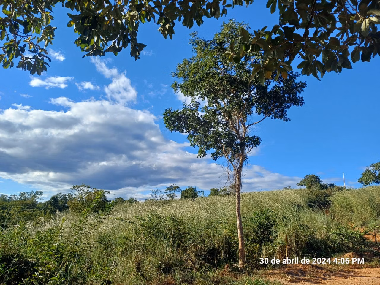 Fazenda de 376 ha em Salinas, MG
