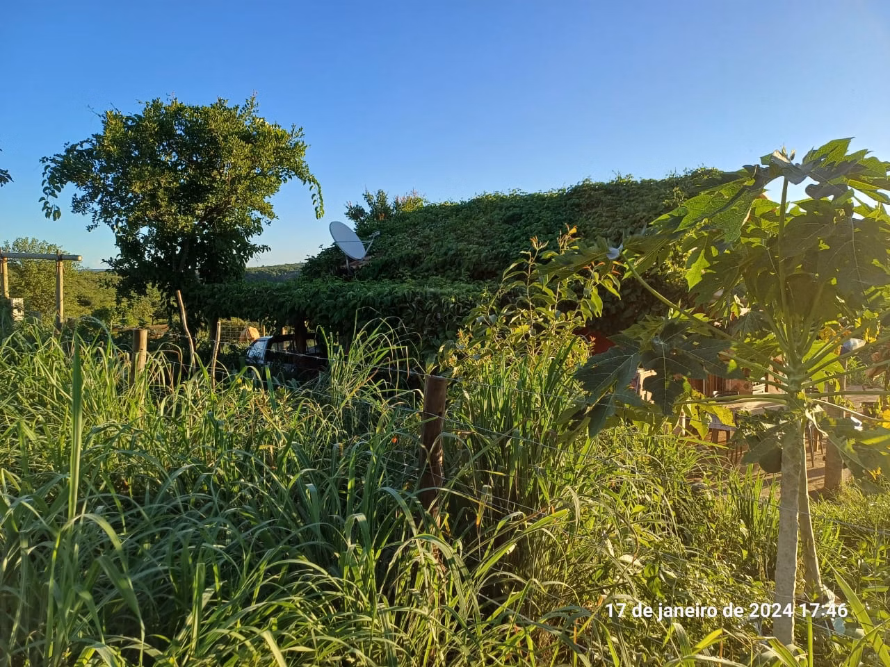 Fazenda de 376 ha em Salinas, MG