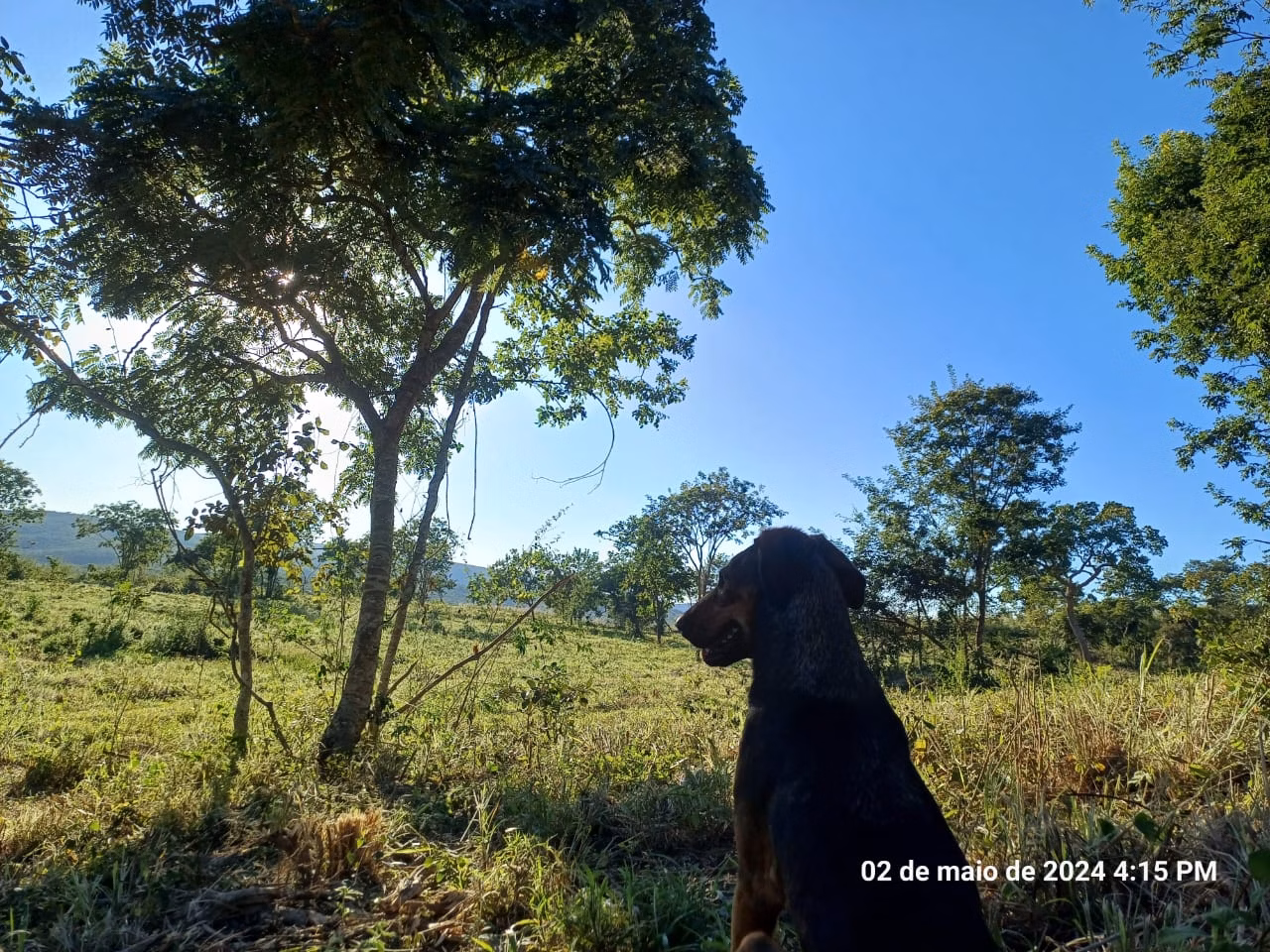 Farm of 929 acres in Salinas, MG, Brazil