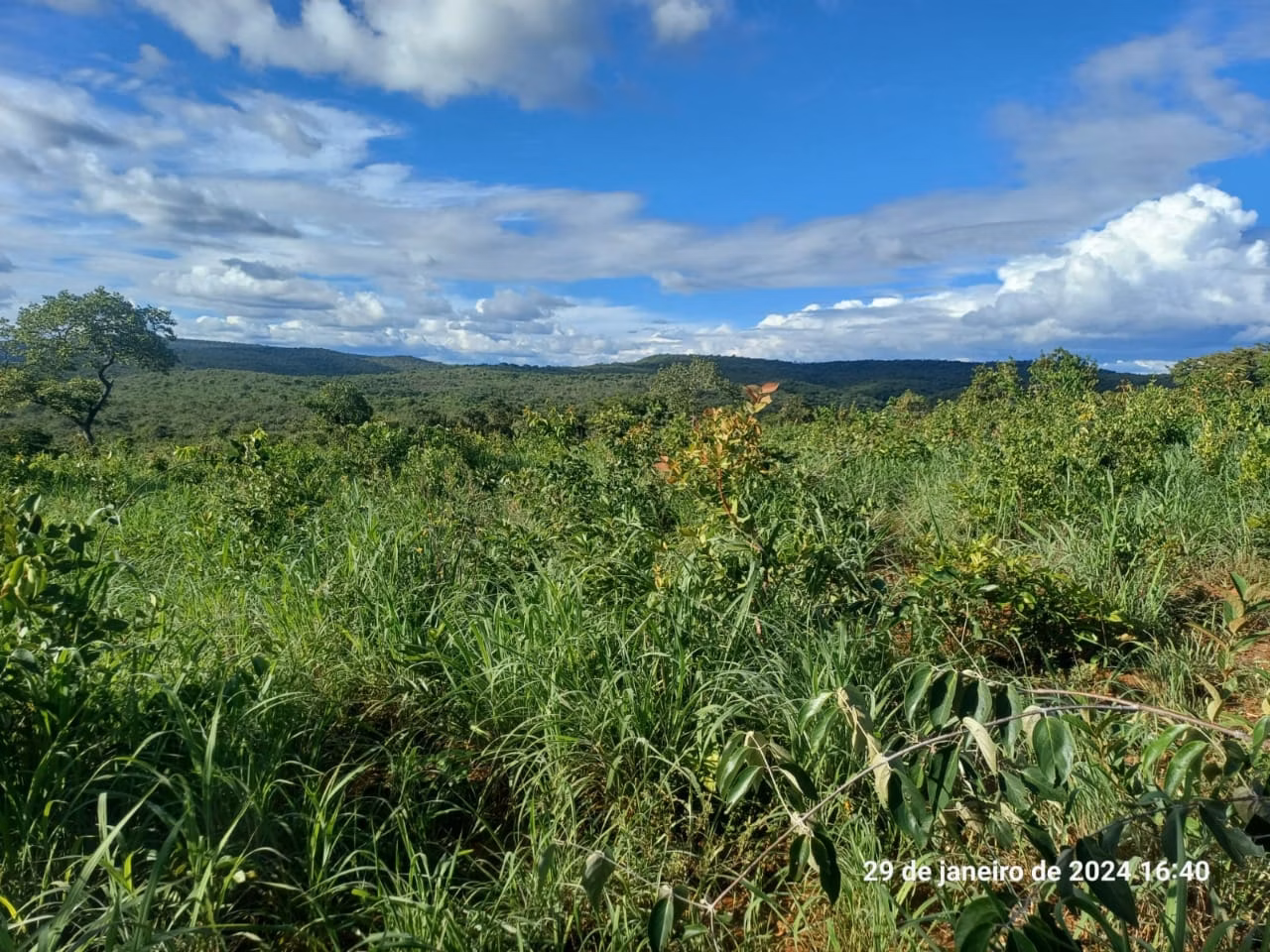 Fazenda de 376 ha em Salinas, MG