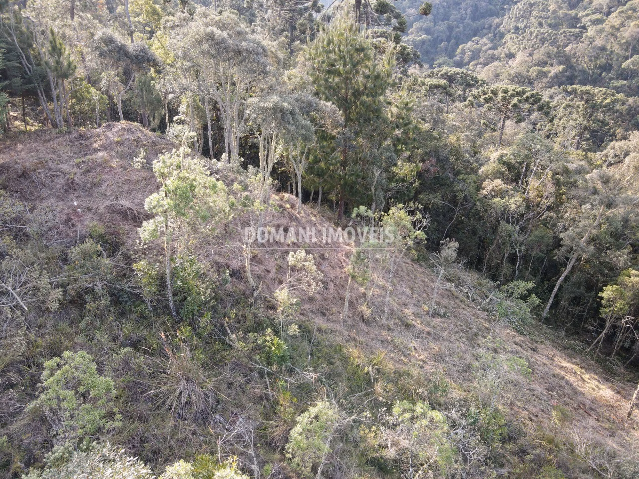 Plot of 1,380 m² in Campos do Jordão, SP, Brazil