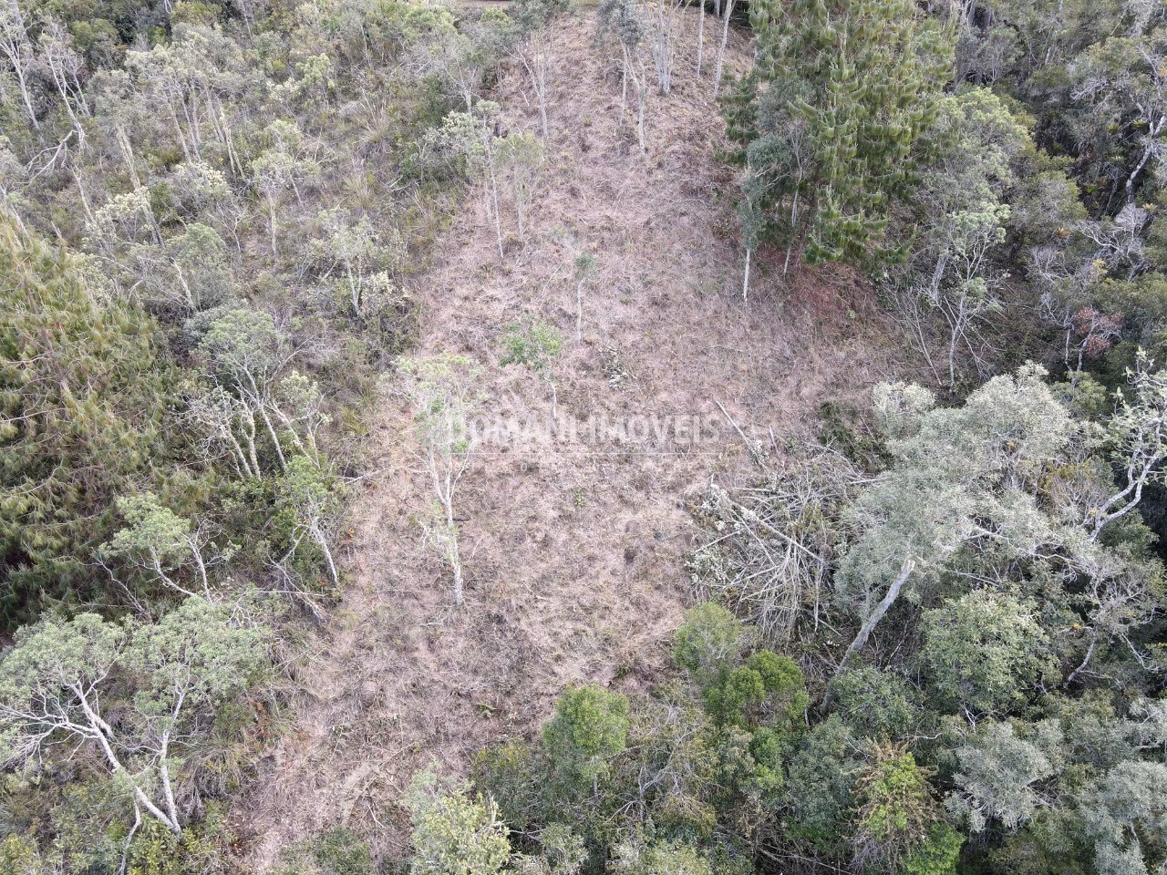 Plot of 1,380 m² in Campos do Jordão, SP, Brazil
