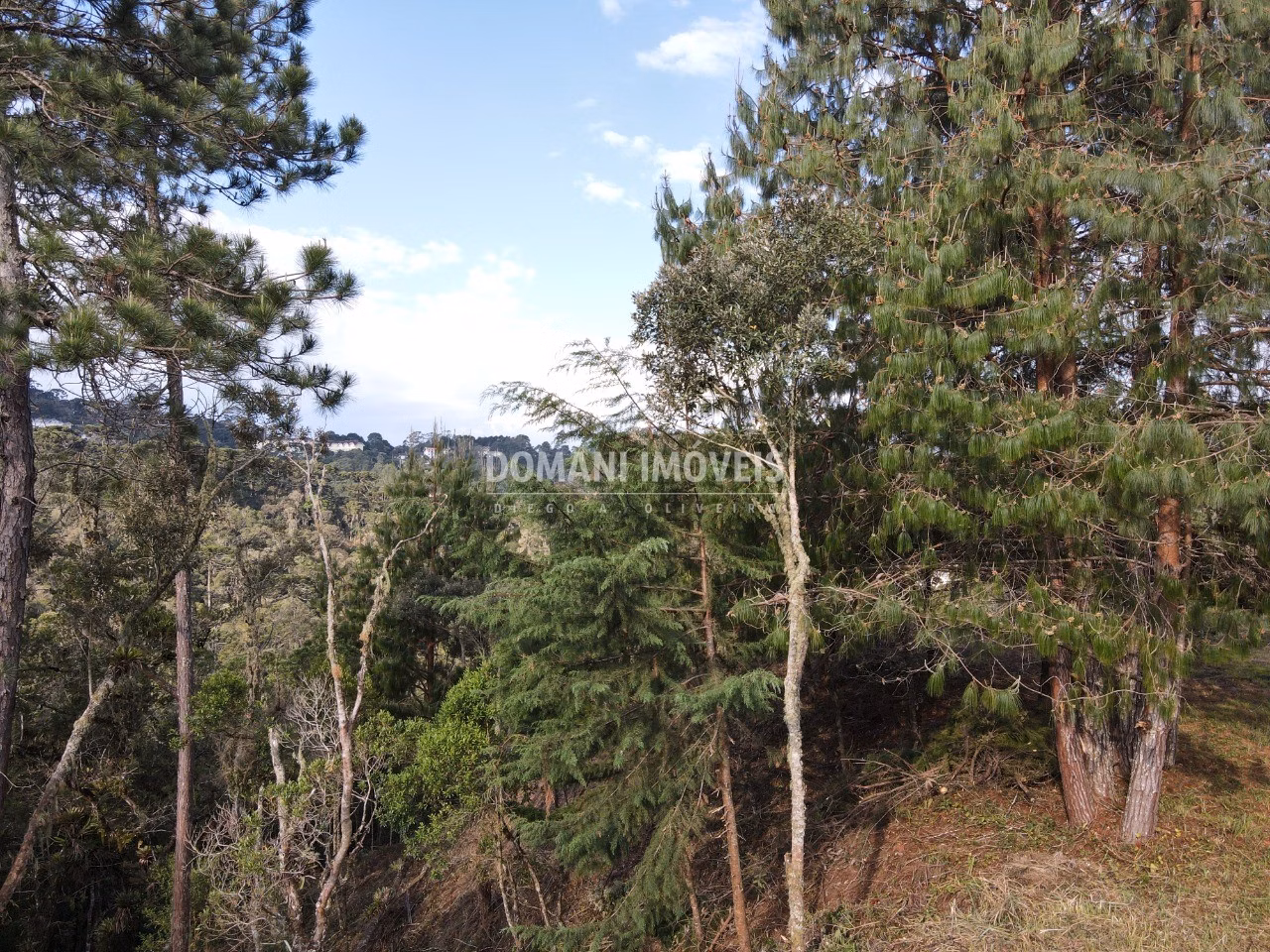 Plot of 1,380 m² in Campos do Jordão, SP, Brazil