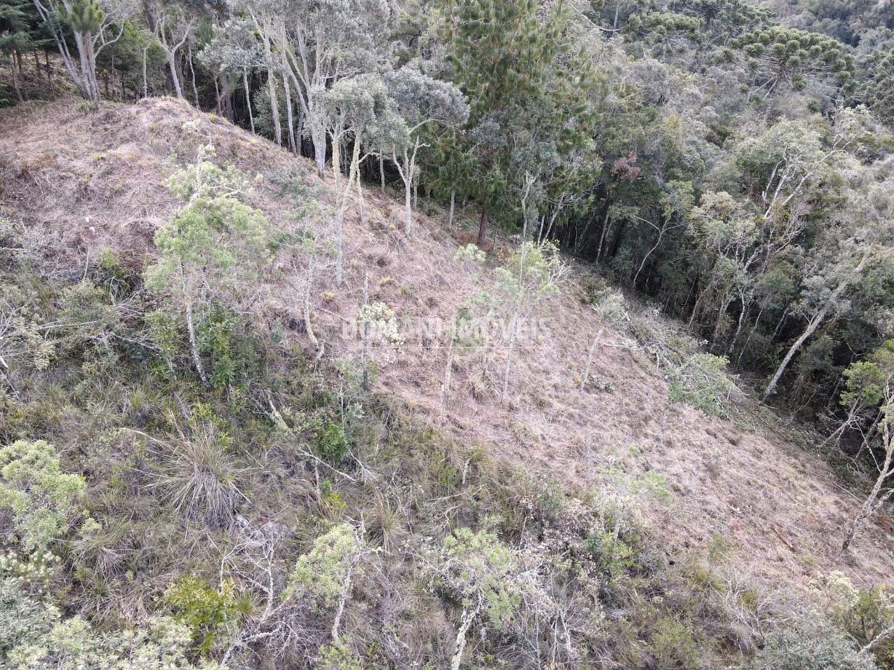 Plot of 1,380 m² in Campos do Jordão, SP, Brazil