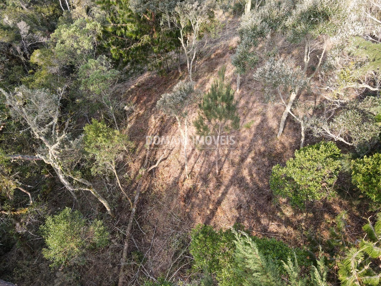 Plot of 1,380 m² in Campos do Jordão, SP, Brazil