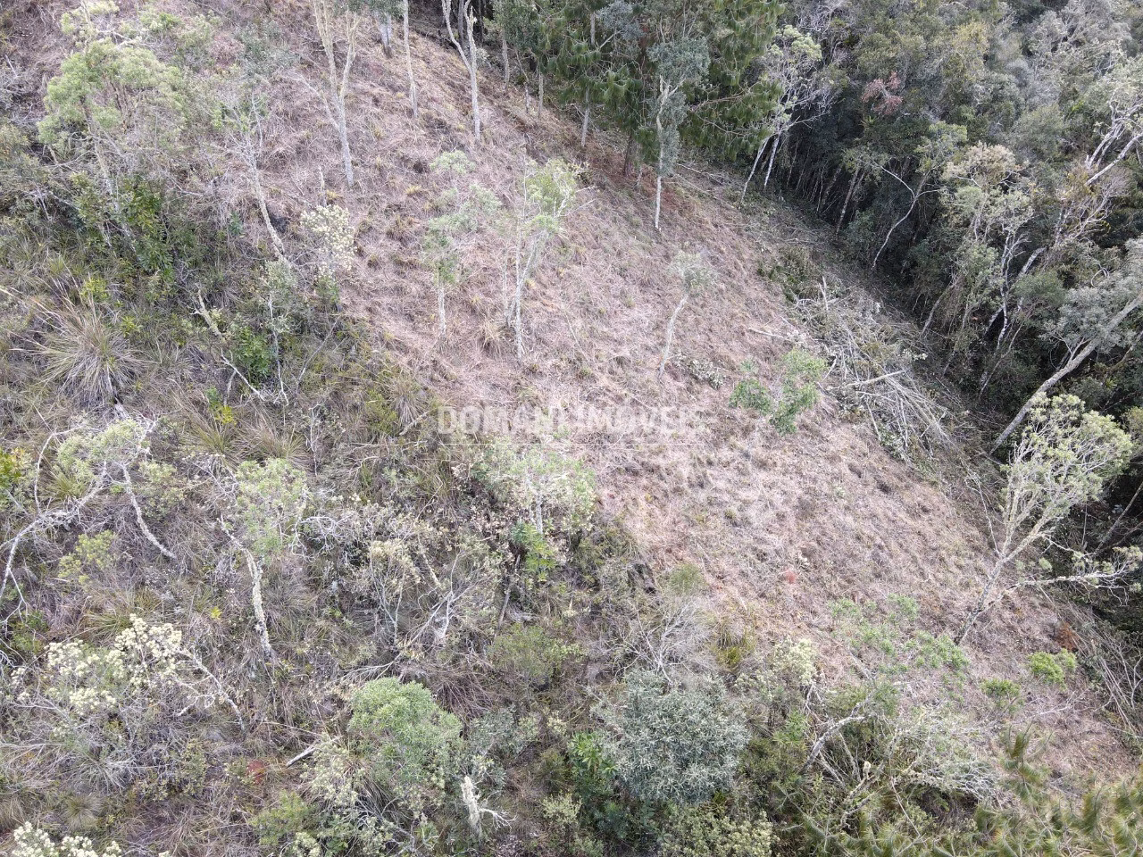 Plot of 1,380 m² in Campos do Jordão, SP, Brazil