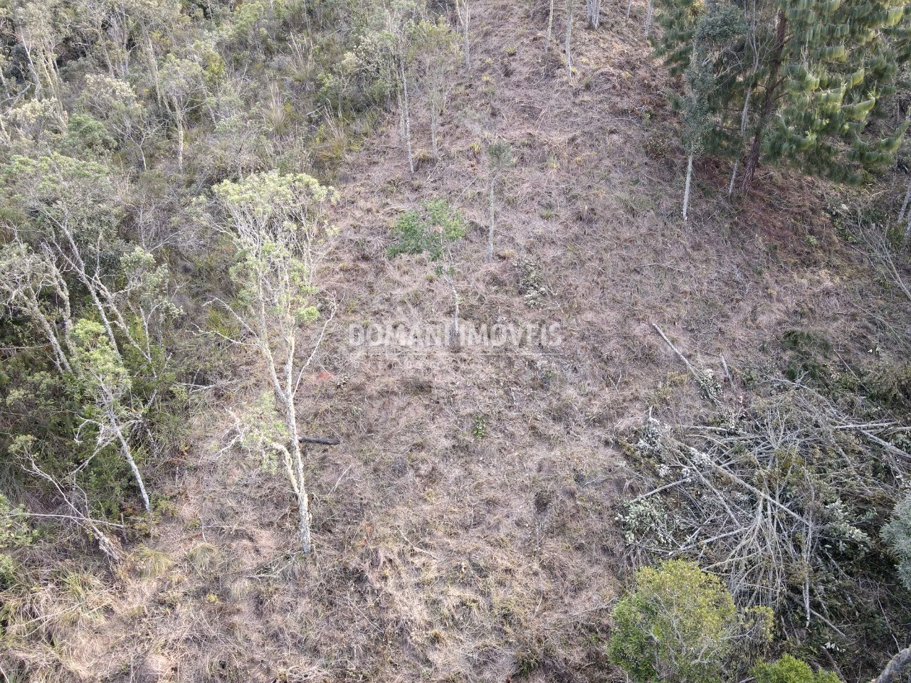 Plot of 1,380 m² in Campos do Jordão, SP, Brazil