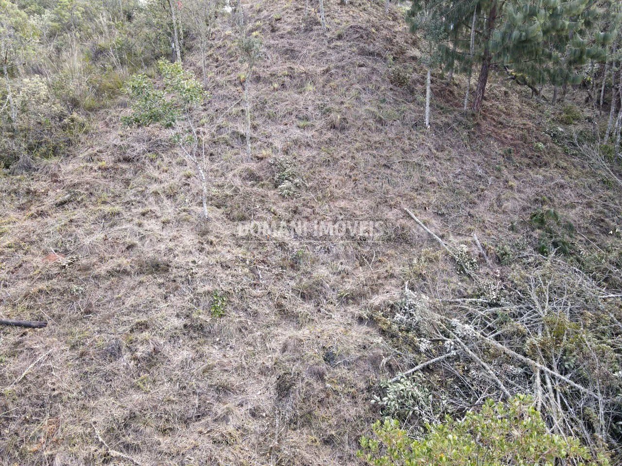 Plot of 1,380 m² in Campos do Jordão, SP, Brazil