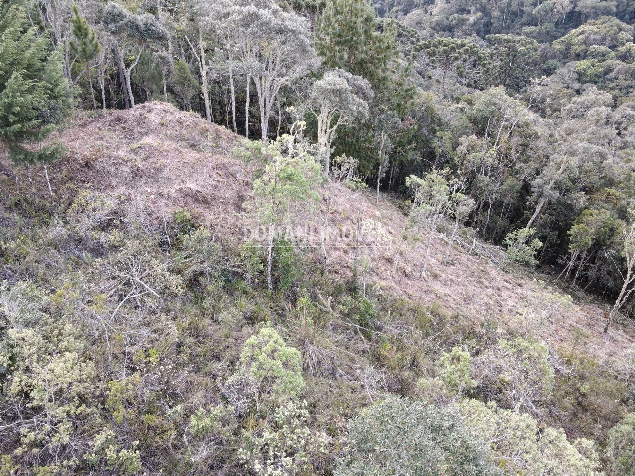 Plot of 1,380 m² in Campos do Jordão, SP, Brazil