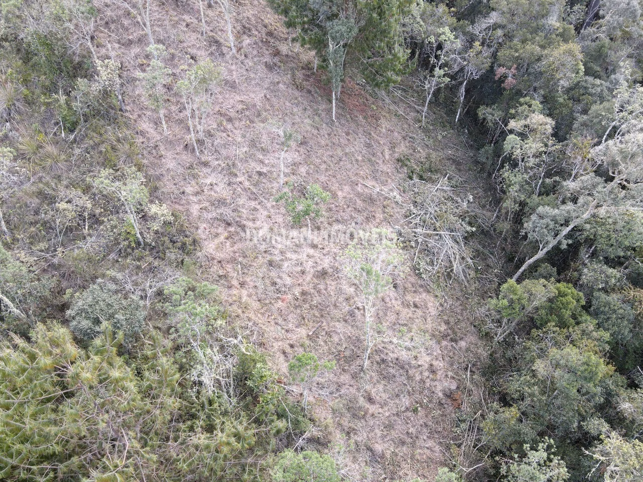 Plot of 1,380 m² in Campos do Jordão, SP, Brazil