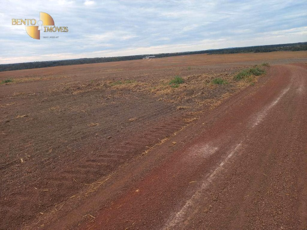 Fazenda de 1.100 ha em Planalto da Serra, MT