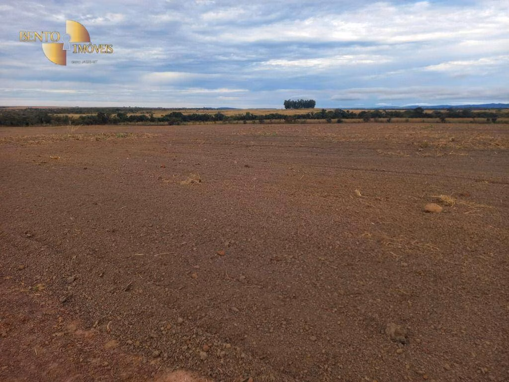 Fazenda de 1.100 ha em Planalto da Serra, MT