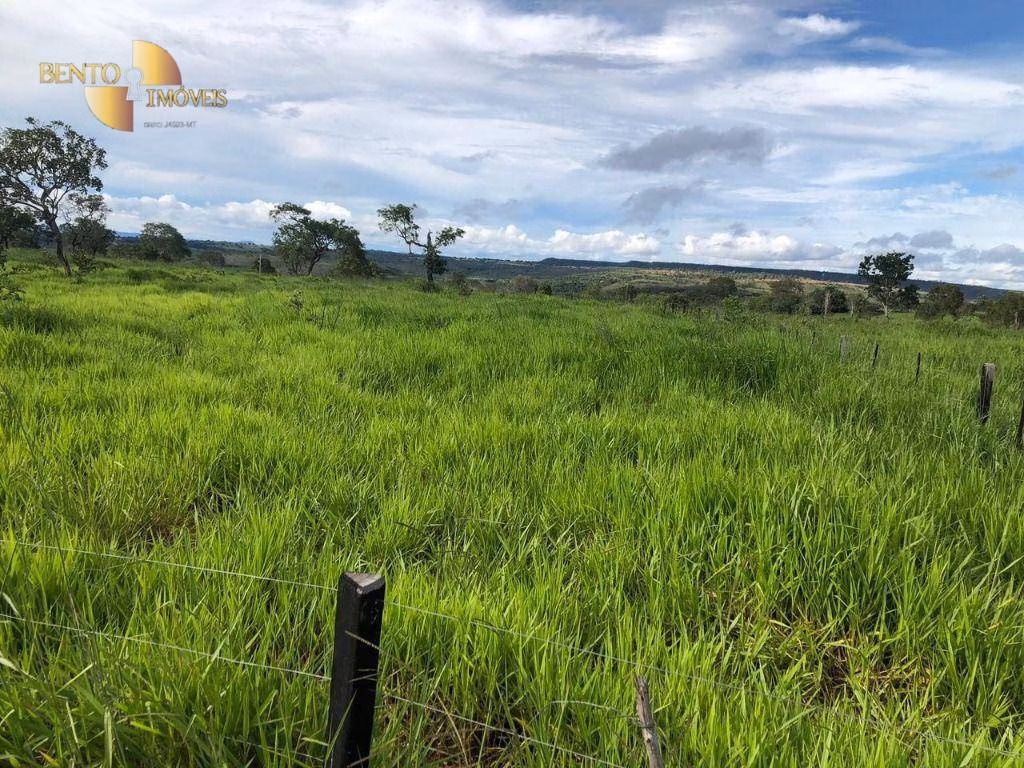 Fazenda de 1.063 ha em Guiratinga, MT