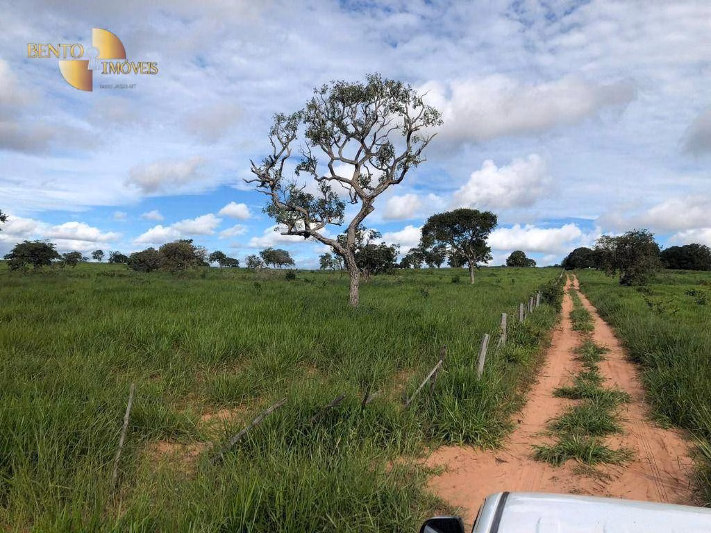 Fazenda de 1.063 ha em Guiratinga, MT