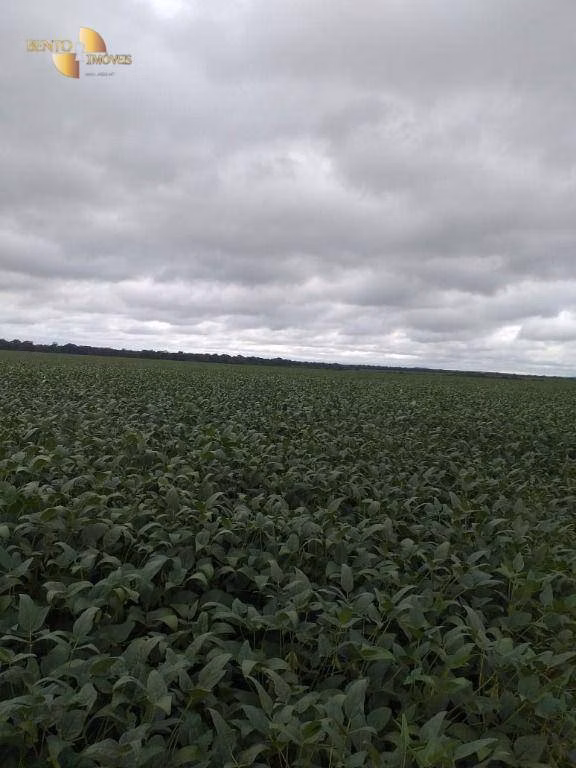 Farm of 19,274 acres in Paranatinga, MT, Brazil