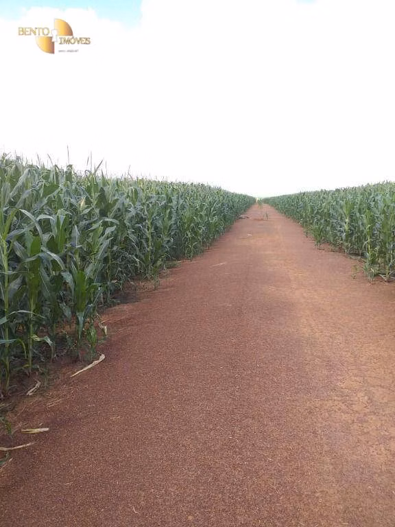 Fazenda de 7.800 ha em Paranatinga, MT