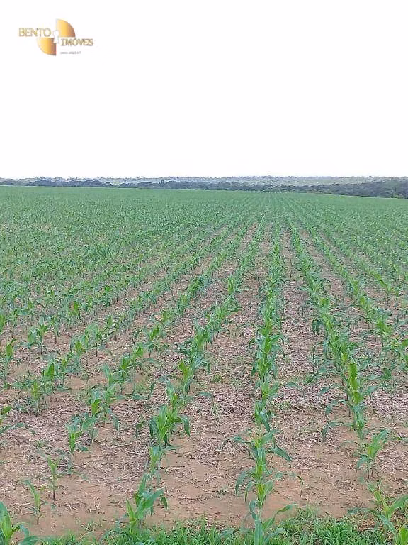 Fazenda de 7.800 ha em Paranatinga, MT