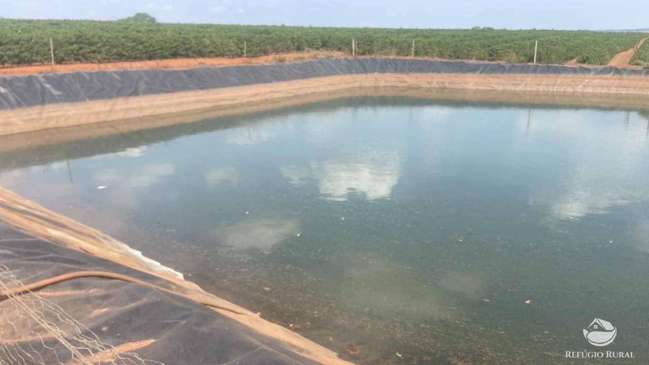 Sítio de 58 ha em Monte Alegre de Minas, MG