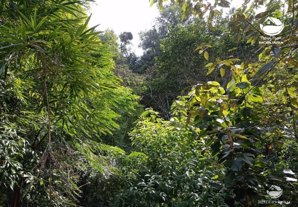 Small farm of 37 acres in São José dos Campos, SP, Brazil