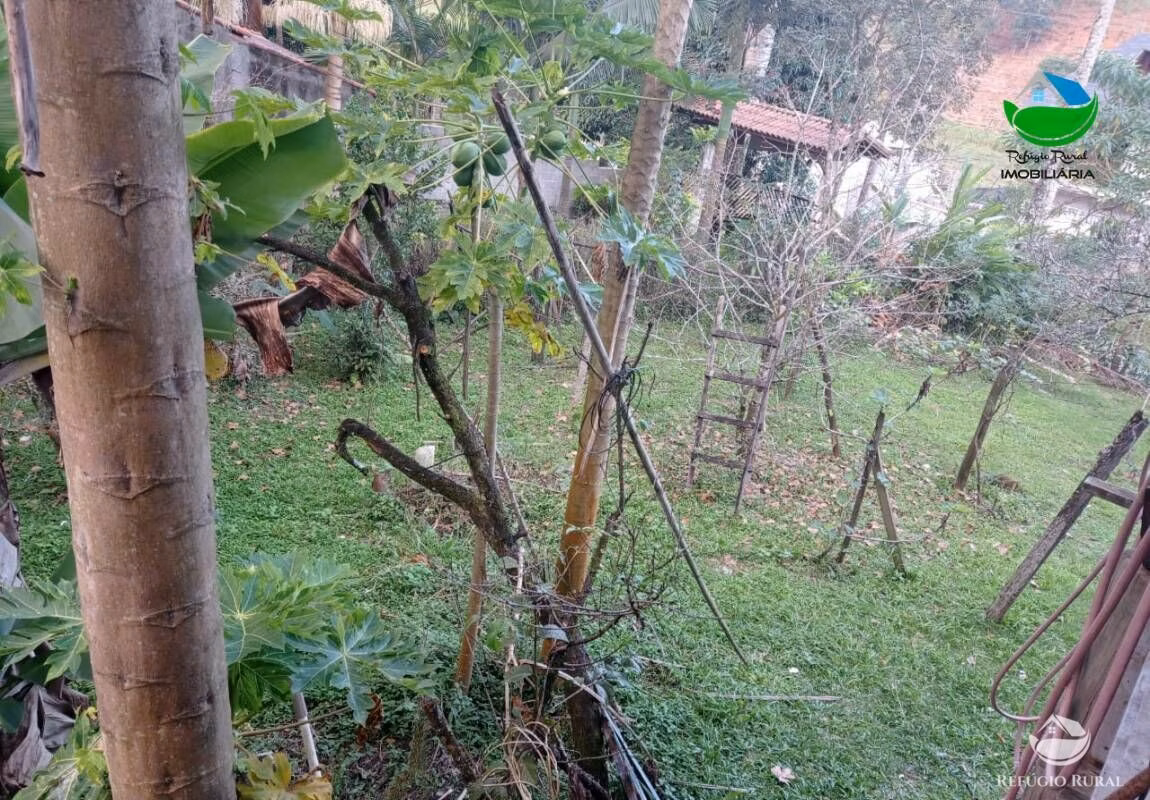 Small farm of 37 acres in São José dos Campos, SP, Brazil