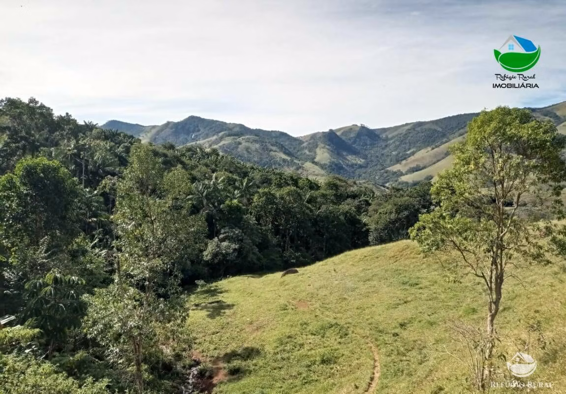 Small farm of 37 acres in São José dos Campos, SP, Brazil