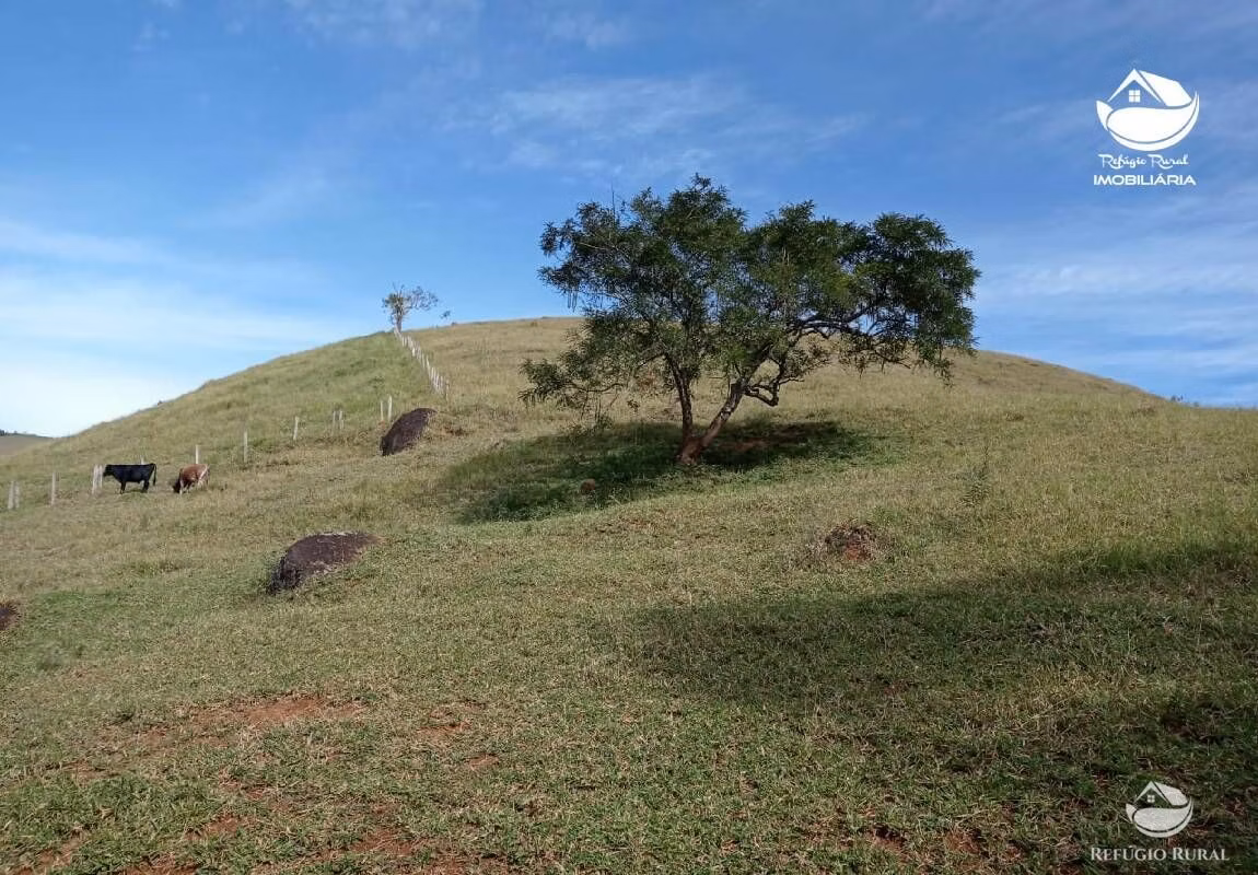 Small farm of 37 acres in São José dos Campos, SP, Brazil