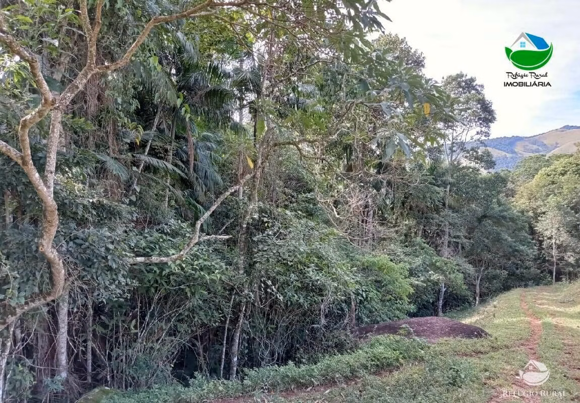 Small farm of 37 acres in São José dos Campos, SP, Brazil
