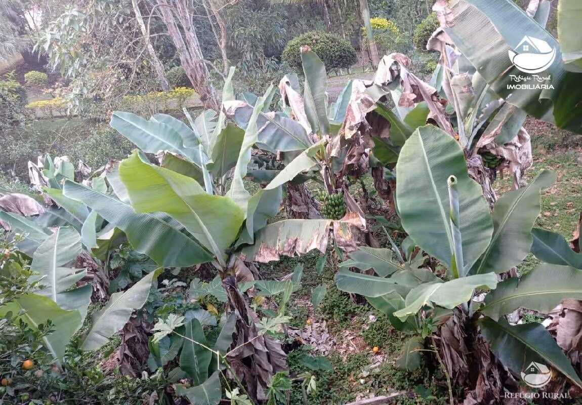 Sítio de 15 ha em São José dos Campos, SP