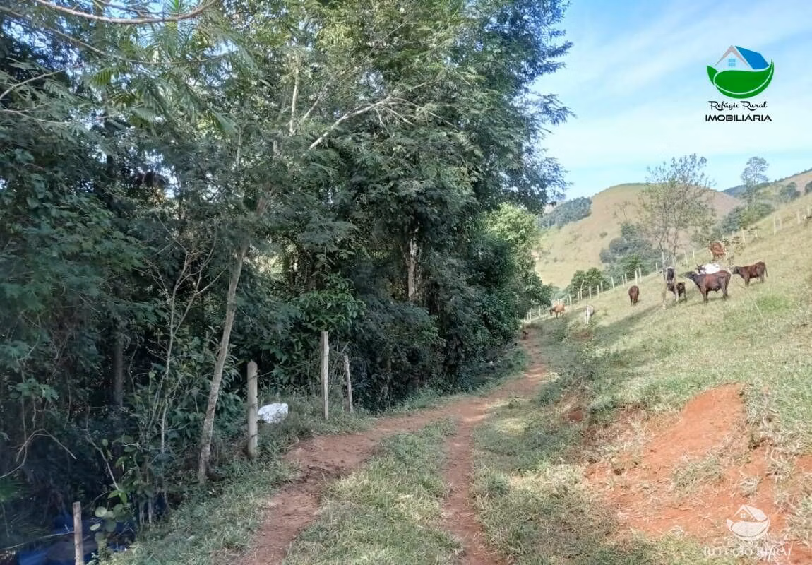 Small farm of 37 acres in São José dos Campos, SP, Brazil