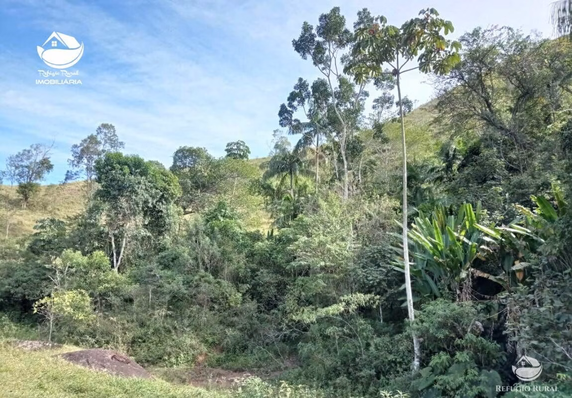 Small farm of 37 acres in São José dos Campos, SP, Brazil