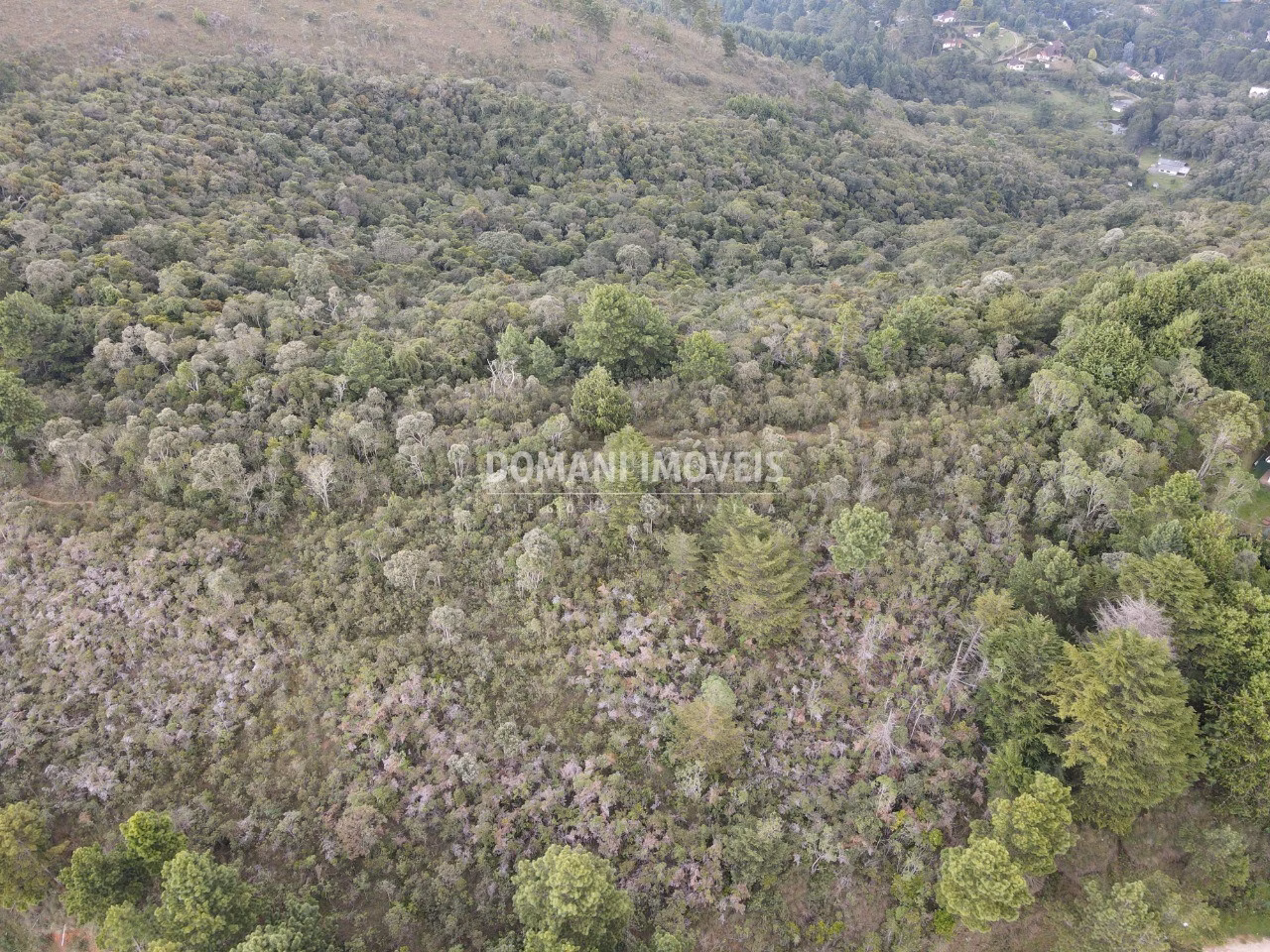 Plot of 40 acres in Campos do Jordão, SP, Brazil