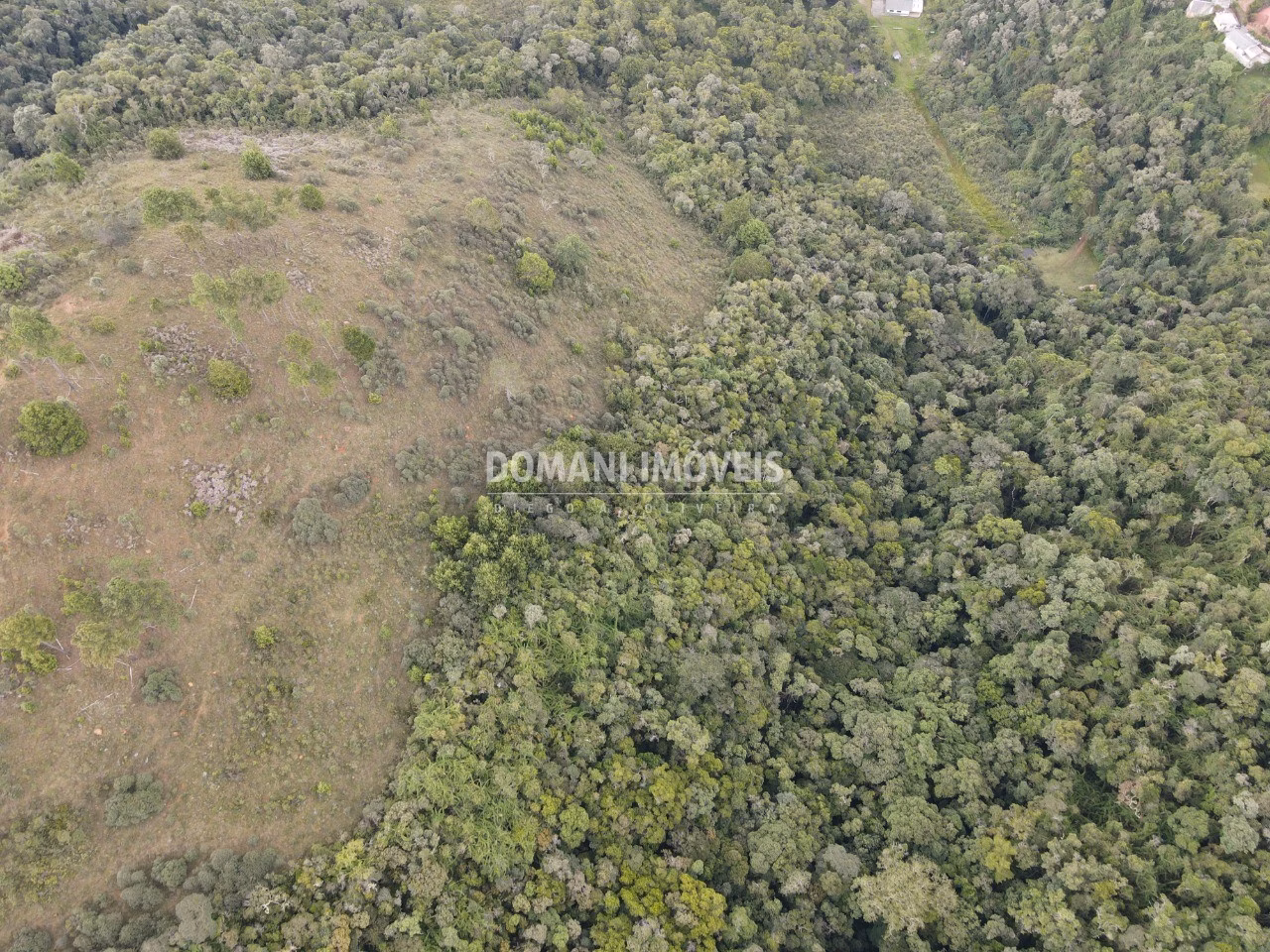 Plot of 40 acres in Campos do Jordão, SP, Brazil