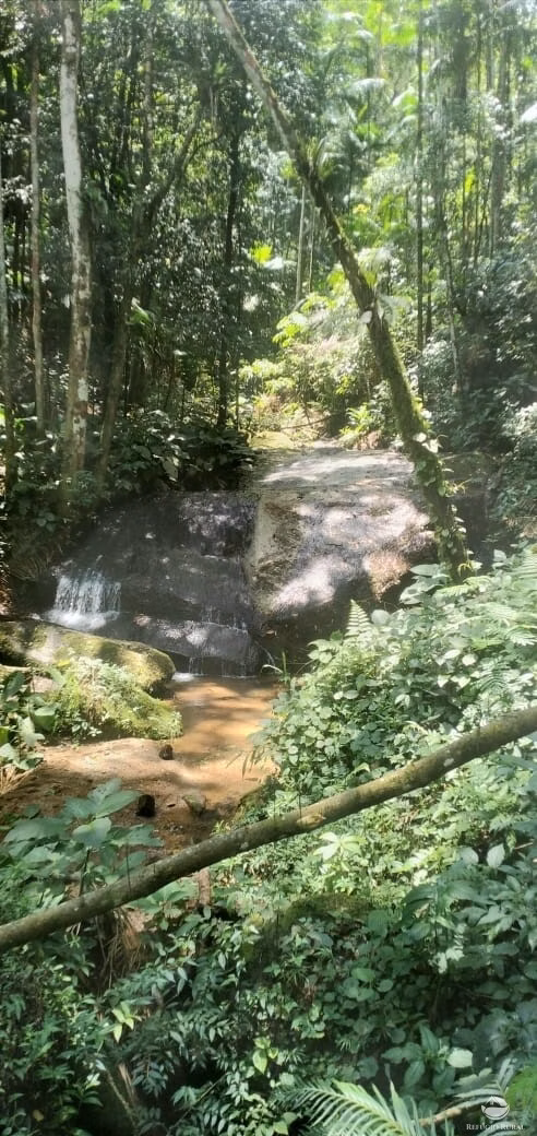 Terreno de 3 ha em São José dos Campos, SP