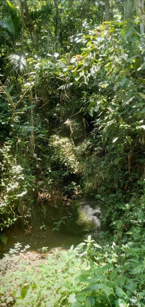 Terreno de 3 ha em São José dos Campos, SP