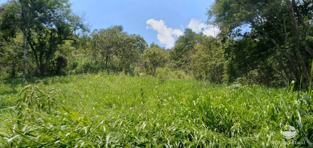 Terreno de 3 ha em São José dos Campos, SP
