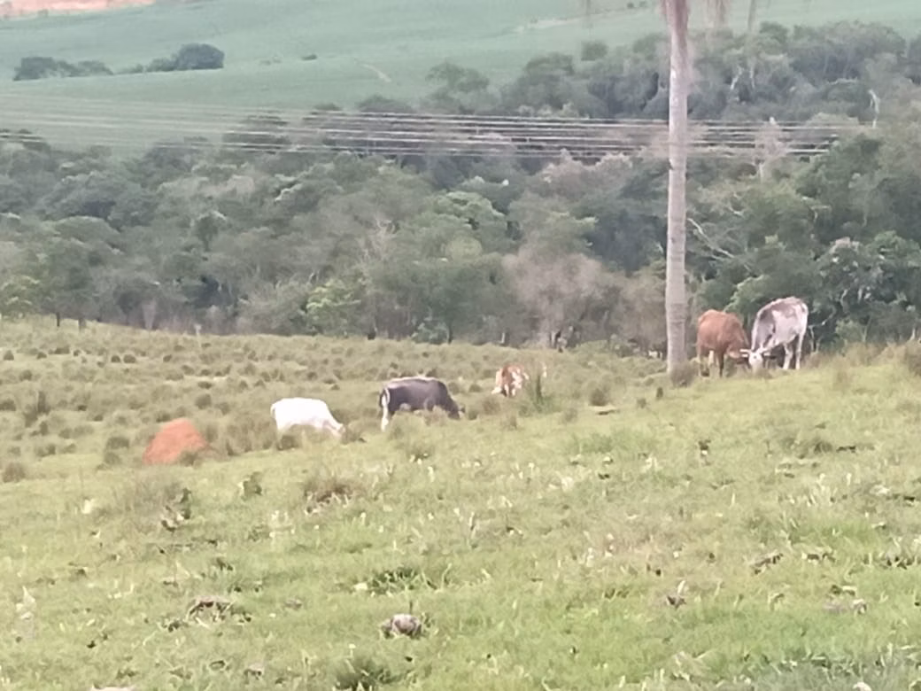 Sítio de 15 ha em Itapetininga, SP