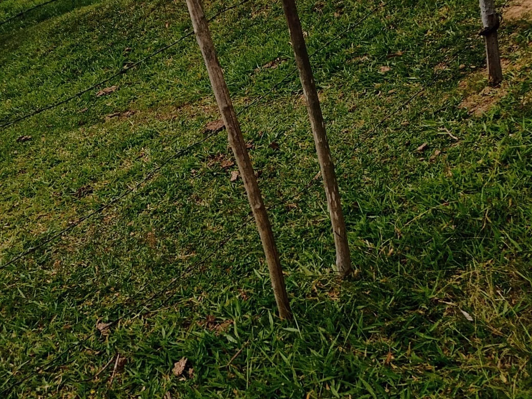 Sítio de 15 ha em Itapetininga, SP