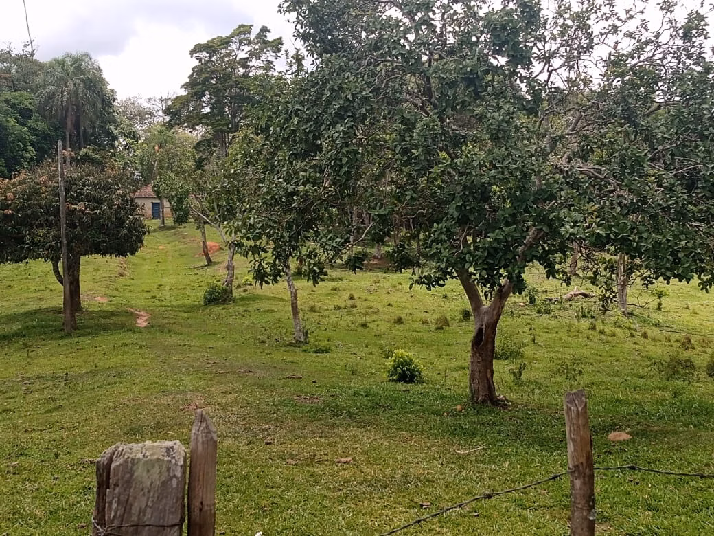 Sítio de 15 ha em Itapetininga, SP