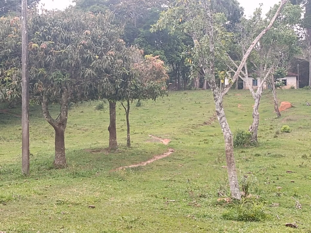 Sítio de 15 ha em Itapetininga, SP