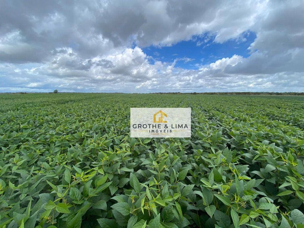Farm of 3.314 acres in Boa Vista, RR, Brazil