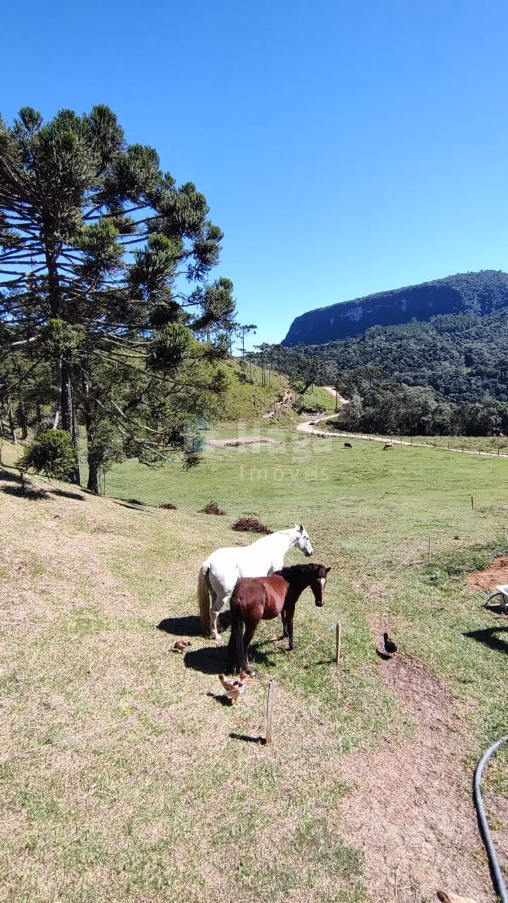 Fazenda de 2 ha em Alfredo Wagner, SC
