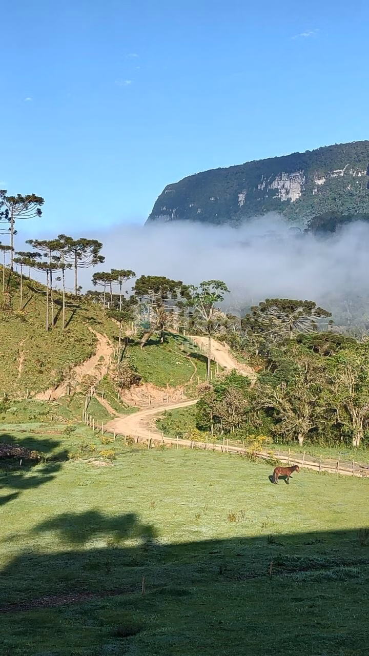 Fazenda de 2 ha em Alfredo Wagner, SC